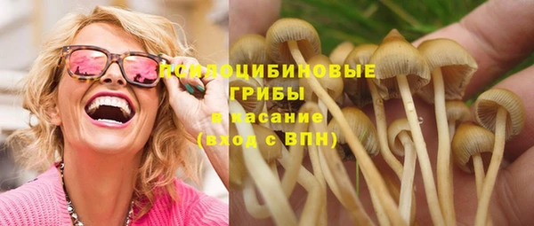 гидропоника Алзамай